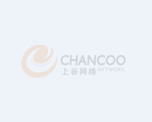 公司簡介